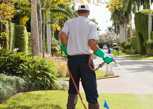 About Dallas WI Pest Control